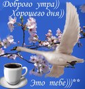 Данієла Брус фотография #31 (источник - https://vk.com/id158430757)