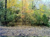 Фотография Каркача Артема