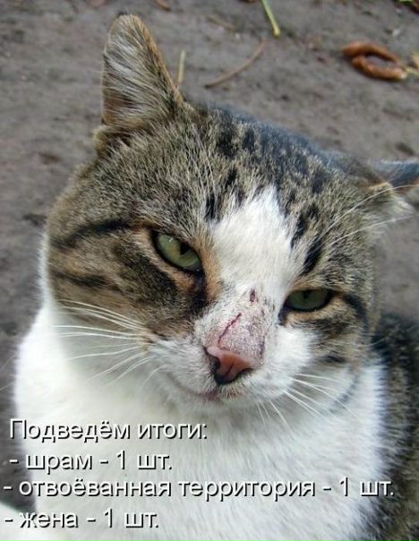 Дима Tryasunoff фото №27