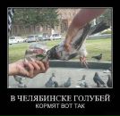 Антон Лірник фотография #26 (источник - https://vk.com/id162960128)