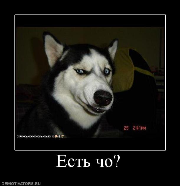 Игорь Будник фотография #33