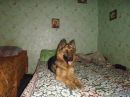 Славік Ткач фотография #19 (источник - https://vk.com/id140196666)