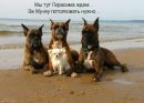 Фотография Волкова Ильи