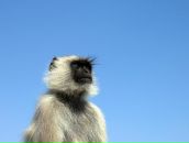 Игорь Ерохин фотография #33 (источник - https://vk.com/id1961268)