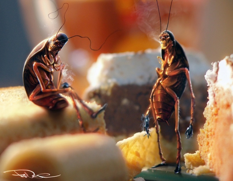 Стёпа Тимофеев фотография #43