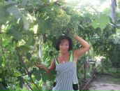 Фотография Шейкина(лебеденко) Ирины