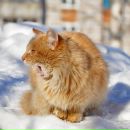 Фотография Авербух Лилии