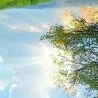 Коля Шимко фотография #19 (источник - https://vk.com/id15394994)