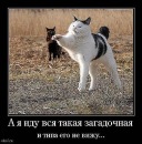 Фотография Геннадьевны Настёны