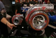 Фотография Лисицы Алексея