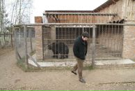 Фотография Ососова Руслана