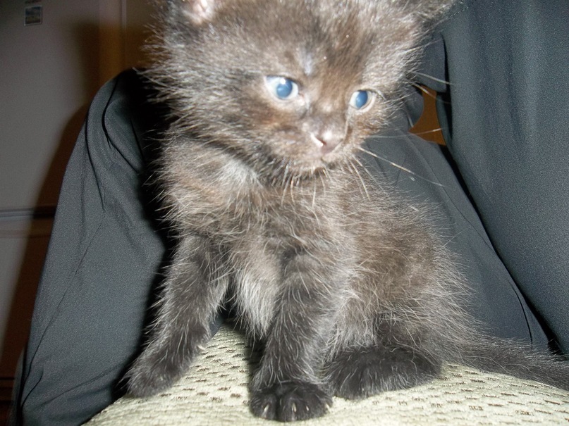 Дмитрий Ежов фотография #15