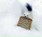 Фотография Василий Гладков