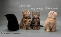 Фотография Коновал Алины