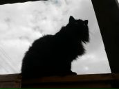 Фотография Пяткова Максима