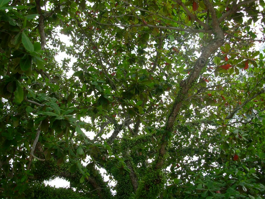 Валерий Иванов фотография #24