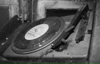 Фотография Смальцер Мария