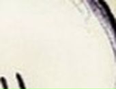 Еліна Руденко фотография #42 (источник - https://vk.com/id40033744)