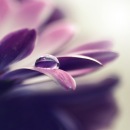 Фотография Цукановой Марии