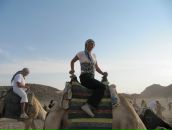 Фотография Лыгиной Наталии