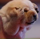 Фотография Игоревны Елены