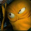 Фотография Соколова Святослава