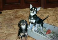 Фотография Мейер Татьяны