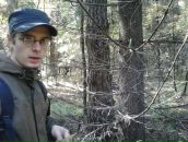 Фотография Бобошки Лося