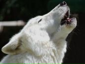 Фотография Герасимовой Елены