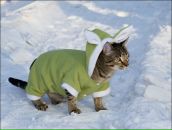 Фотография Пасеки Галины