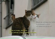 Сергій Богусевич фотография #34 (источник - https://vk.com/id63311509)