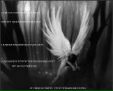 Фотография Заветновской Анны