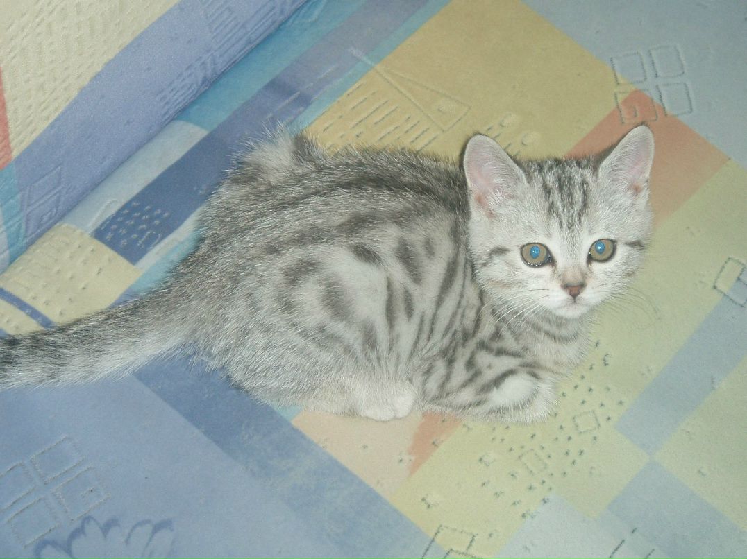 Сергей Пушняков фотография #43