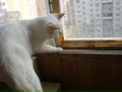 Фотография Панфилова Игоря