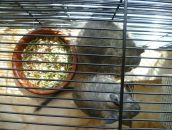 Виктор Логвин фотография #19 (источник - https://vk.com/id1749928)