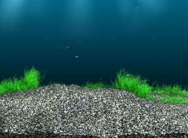 Рустам Кушаев фото №19