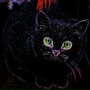 Фотография Приходского Аркадия