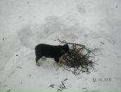 Фотография Мингазизовой Гульнары