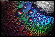 Фотография Серединского Даниила