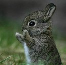 Андрій Савчик фотография #8 (источник - https://vk.com/id153675272)