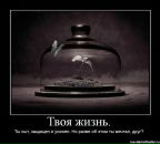 Surfin Vlasic фотография #8 (источник - https://vk.com/id496053)