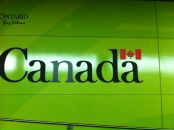 Анастасия Верес фотография #29 (источник - https://vk.com/id42695295)