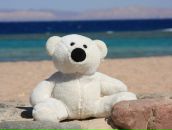 Галя Кальянова фотография #45 (источник - https://vk.com/id907502)