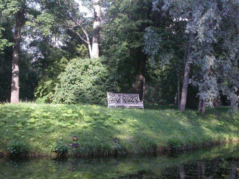 Prof V фотография #45