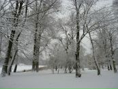 Анастасія Герасименко фотография #46 (источник - https://vk.com/id134214357)