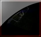 Фотография Плотникова Жанна