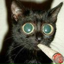 Олег Сакідон фотография #27 (источник - https://vk.com/id154519198)