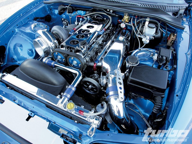 Денис Луценко фотография #21