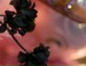 Валерия :) фотография #17 (источник - https://vk.com/id118985115)