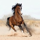 Οлеся Κудрявцева фотография #9 (источник - https://vk.com/id169427654)